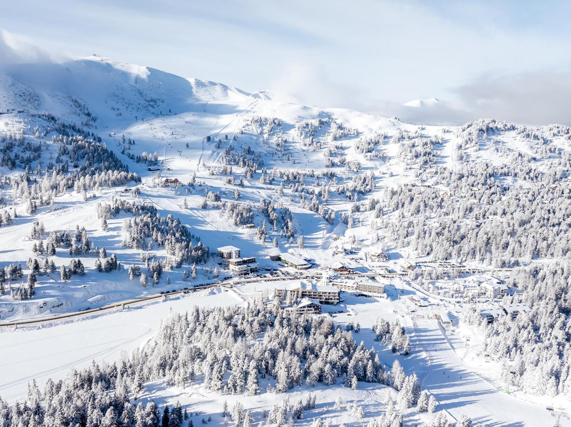 Alpin Peaks Hotel Turracher Hohe Екстериор снимка