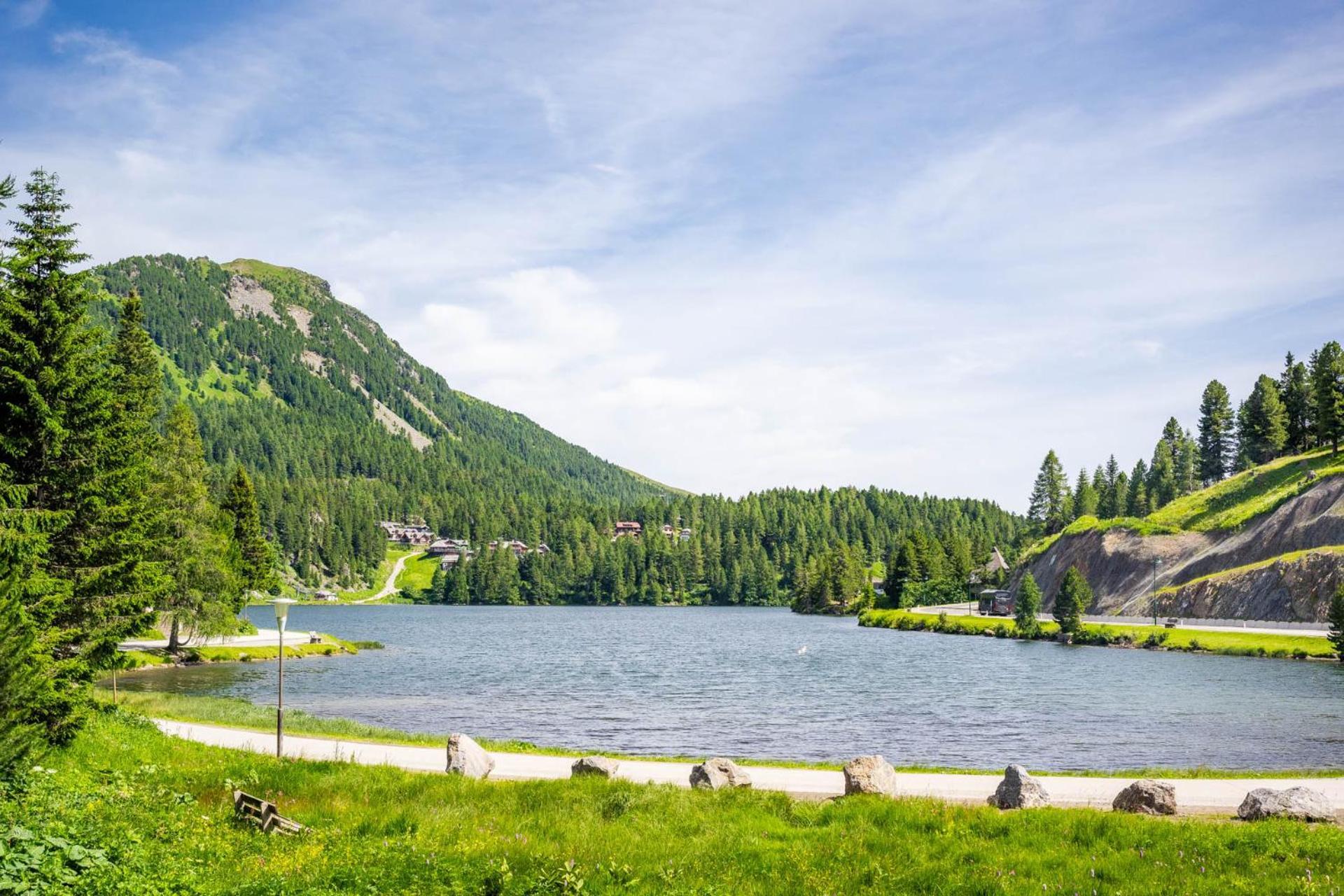 Alpin Peaks Hotel Turracher Hohe Екстериор снимка